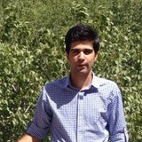 Iman from Tehran | Man | 36 years old | Capricorn