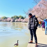 Vemuribharga7S from Blackwood | Man | 28 years old | Aries