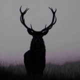 Rudolf from Constanta | Man | 39 years old | Leo