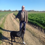 Bengordij1 from Herent | Man | 65 years old | Sagittarius