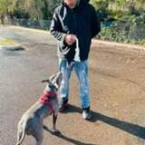Josephhiramj9 from San Francisco | Man | 54 years old | Capricorn
