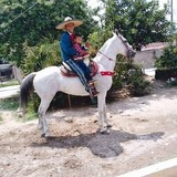 Joseromanmacpa from Celaya | Man | 24 years old | Leo