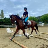 Galws from Málaga | Man | 48 years old | Scorpio