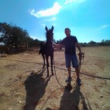 Blundofrance5W from Ragusa | Man | 36 years old | Sagittarius