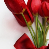 Zaman from Oud-Beijerland | Man | 57 years old | Cancer