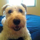 Aherne from Mary Esther | Man | 43 years old | Taurus