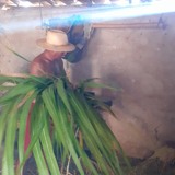 Eliasdesouza92 from Sao Jose de Mipibu | Man | 64 years old | Scorpio