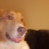 Krisser20P from Dallas | Man | 65 years old | Leo