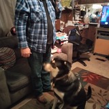 Sgtmajx from Columbus | Man | 69 years old | Capricorn