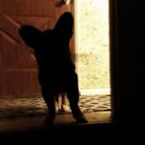 Marko from Spotsylvania | Man | 26 years old | Libra