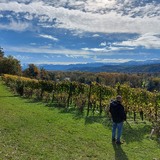 Montagnoty from Tarbes | Man | 49 years old | Libra