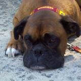 Marisela from Valdese | Woman | 34 years old | Scorpio