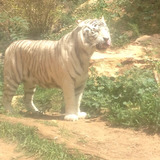 Georgeboy from Haifa | Man | 36 years old | Leo
