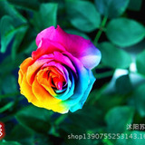 Lisalei from Narita | Man | 55 years old | Sagittarius